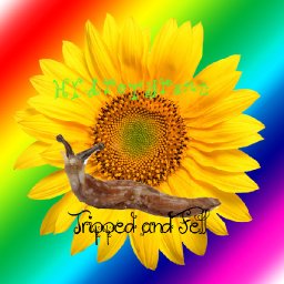@sunflower-slug